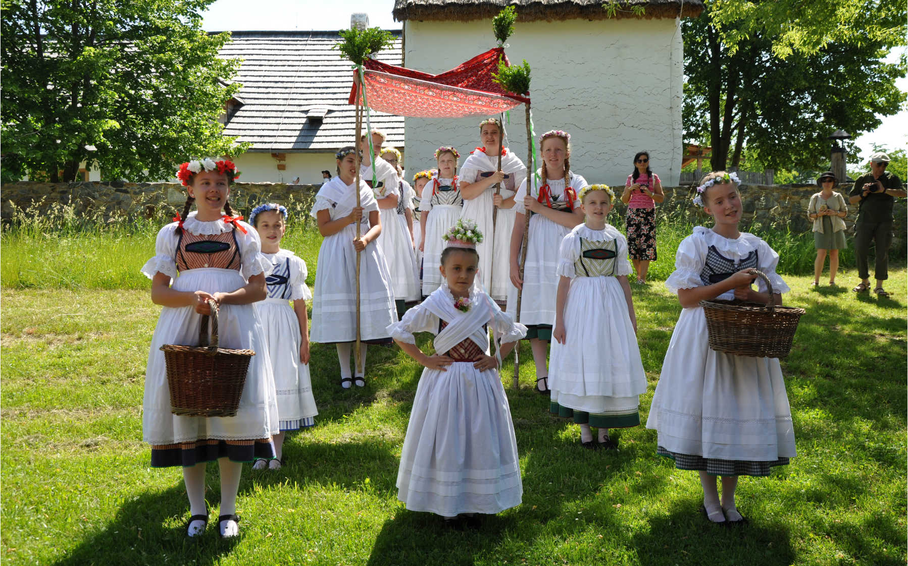 sejkorky_img3